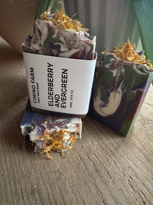 Elderberry and Evergreen Goat Milk Soap